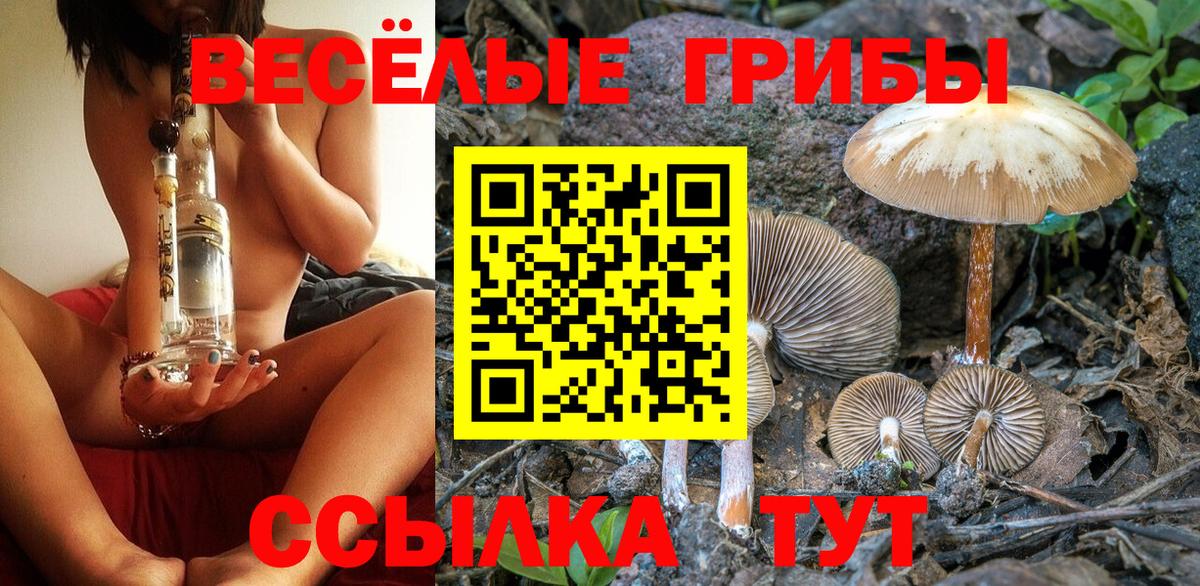 Ногинск  Псилоцибиновые грибы GOLDEN TEACHER  Вход с VPN 